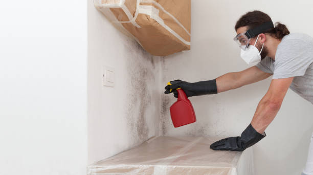 Professional Mold Remediation technician working in Riner, VA