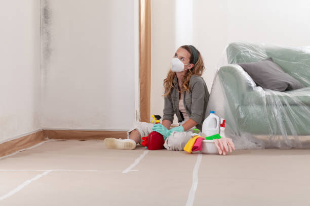Reliable Mold Remediation contractor in Riner, VA by 24 Hour Mold Removal